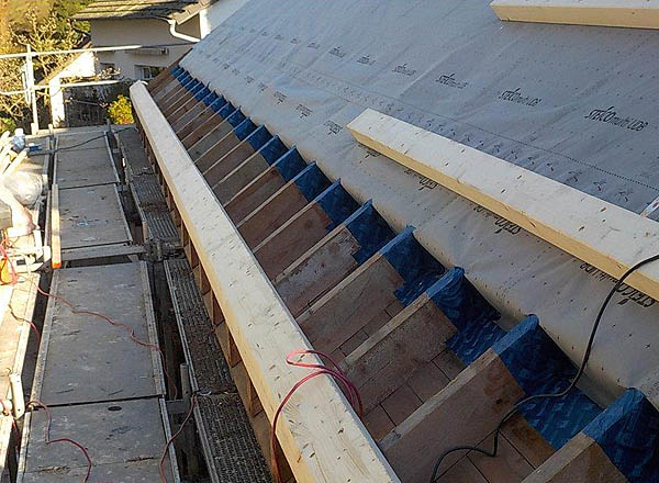 Grundriss und Lngsschnitt